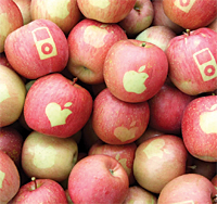 apples mac brain pickings Lists We Love: Teacher Appreciation Gift Ideas from Real Teachers by Love from the Oven