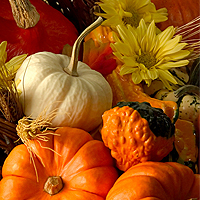 free_ultimate_list_thanksgiving_planner_resources_printables